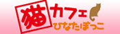 猫カフェひなたぼっこ